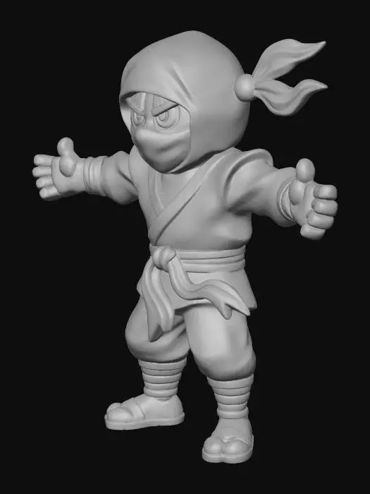 3D model for Ninja Warrior