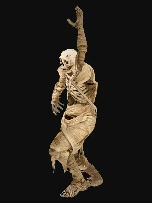 3D model for a mummified corpse, covered in some sort of cocoon, they have a horrific expression on their face, A-pose
