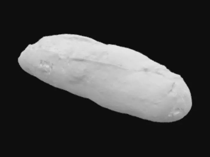 3D model for Golden Baguette Resting