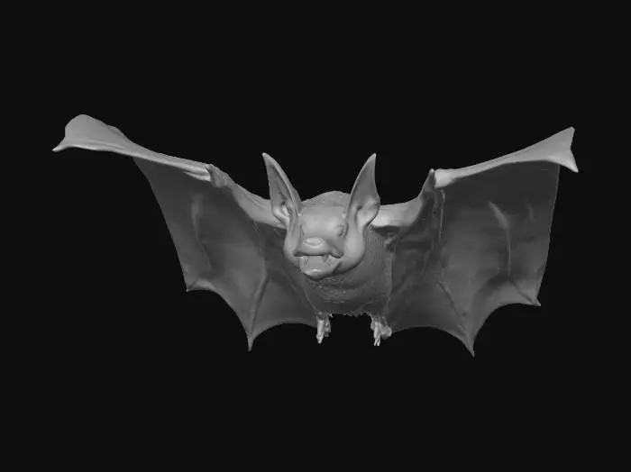 3D model for crea un immagine iperrealistica di un pipistrello grande, con la pelle scura, occhi piccoli, rosso fuoco e con denti aguzzi in volo, metti in risalto i denti aguzzi e gli occhi rossi