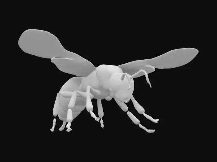 3D model for queen bee
