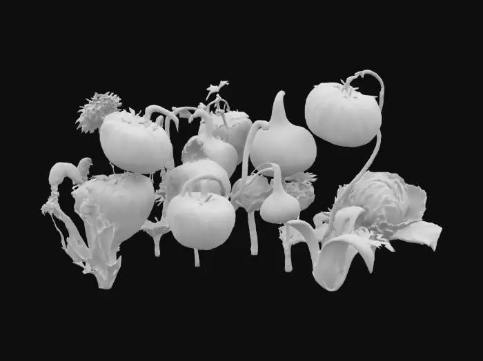 3D model for a trippy garden with lots of tomatos onions and cabbage #garden#