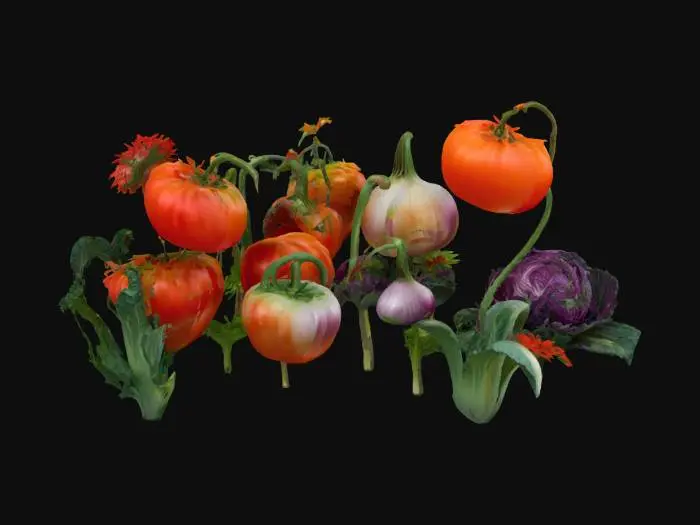3D model for a trippy garden with lots of tomatos onions and cabbage #garden#