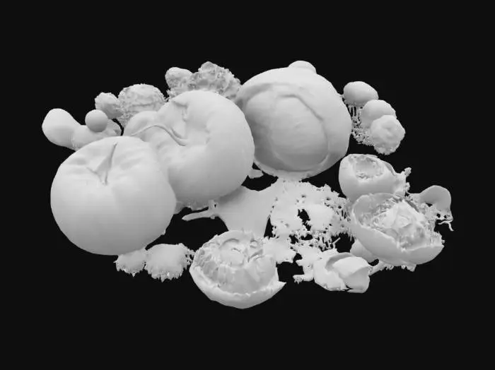 3D model for a trippy garden with lots of tomatos onions and cabbage #garden#