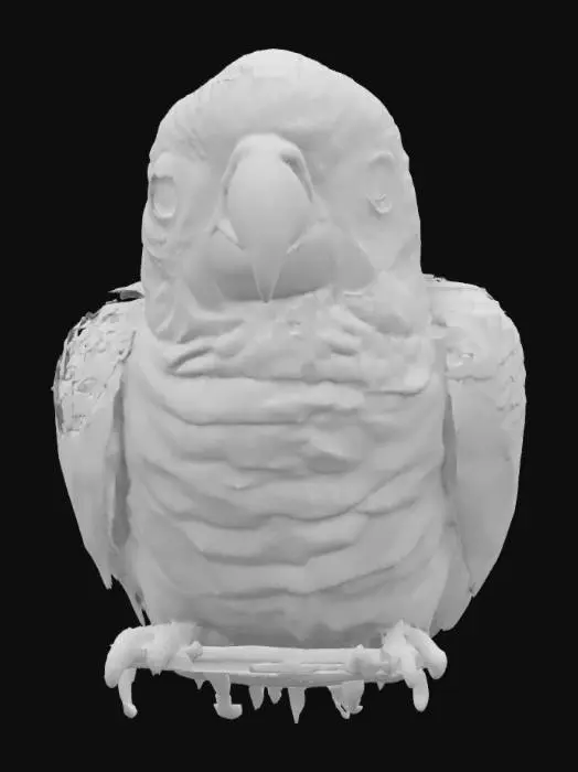 3D model for a psychedelic trippy parrot 