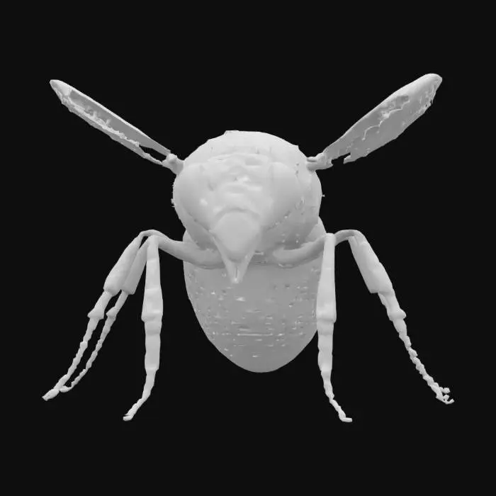 3D model for queen bee