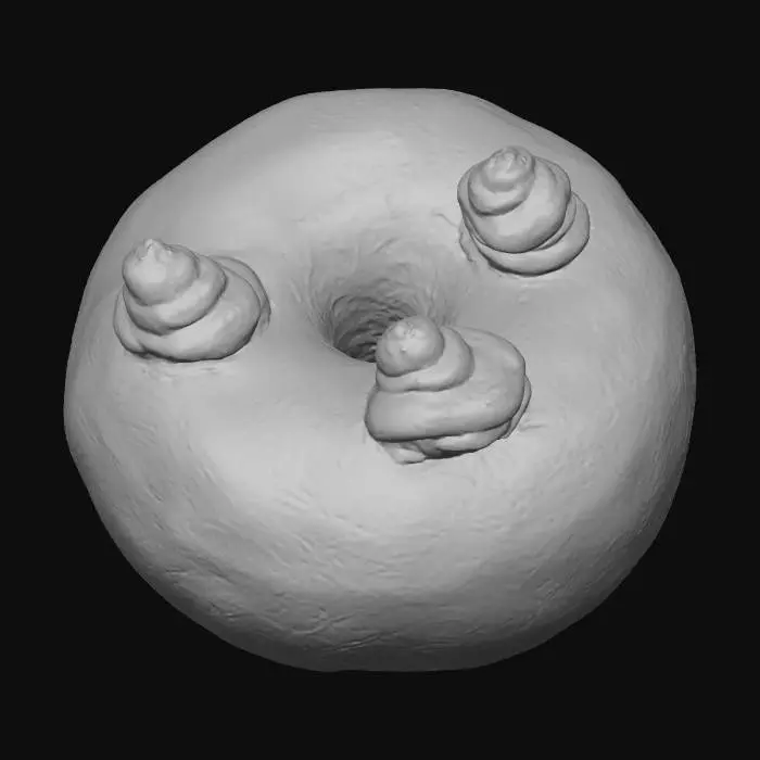 3D model for Matcha Whirl Donut