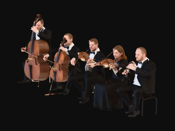 3D model for Musical Ensemble Harmony