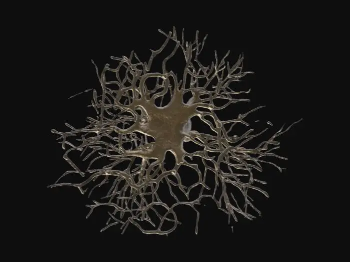 3D model for Bare Winter Tree
