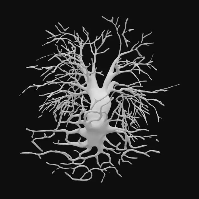 3D model for Bare Winter Tree