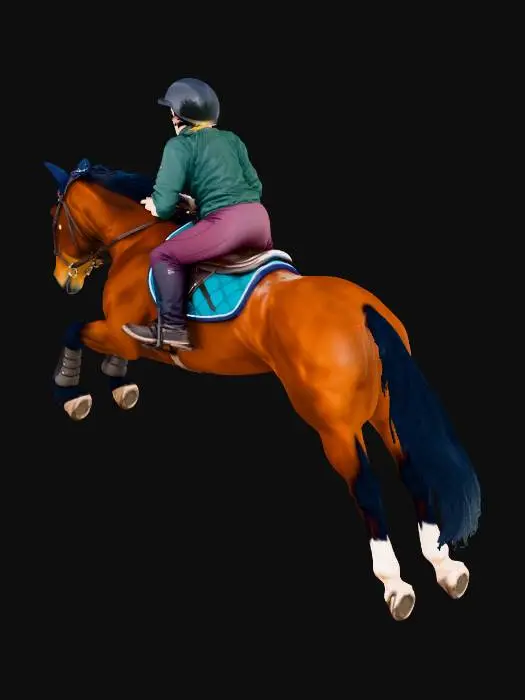 3D model for Equestrian Leap2