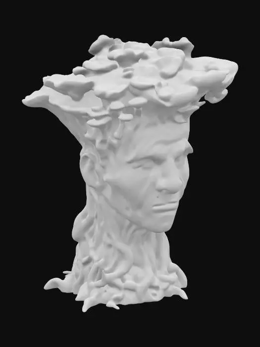 3D model for Mushroom Elder