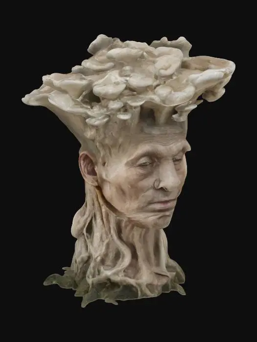 3D model for Mushroom Elder