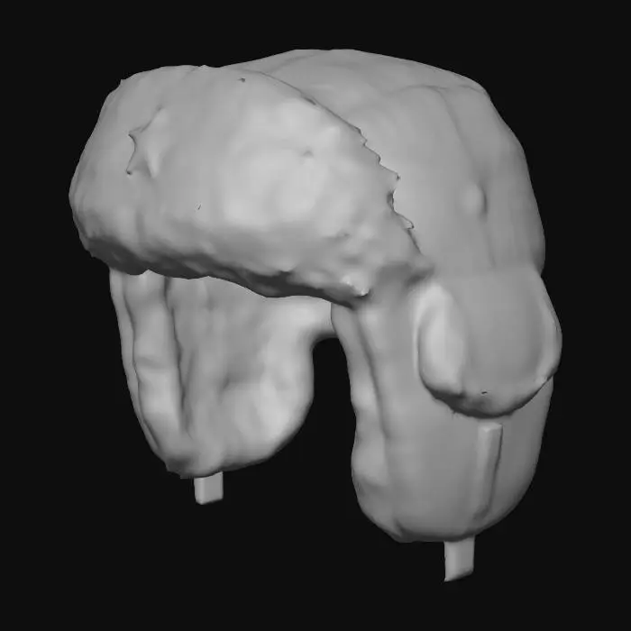 3D model for Ushanka with Star