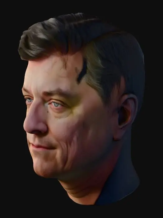 3D model for Portrait of Reflection