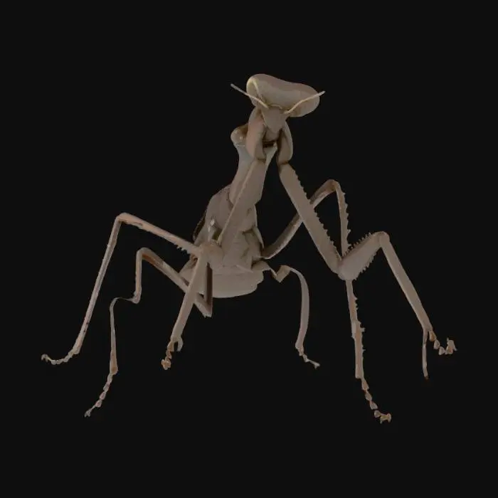 3D model for Mantid Majesty