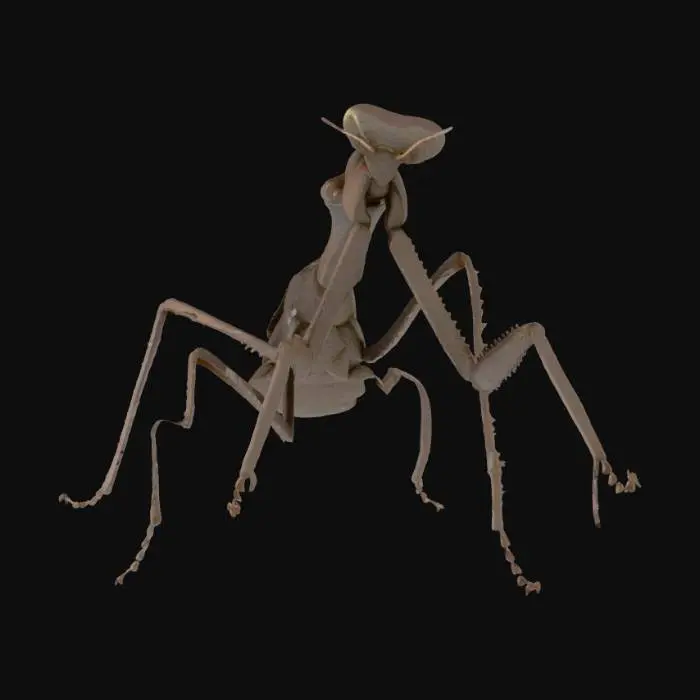 3D model for Mantid Majesty