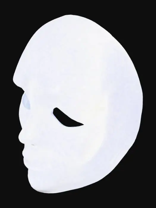 3D model for Veiled Identity