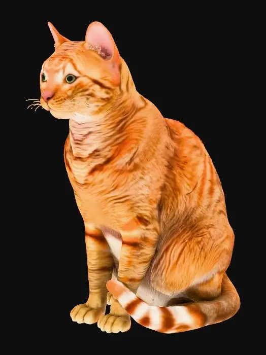 3D model for Ginger Majesty