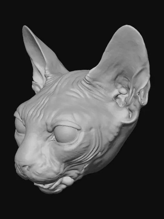 3D model for Cat Head with Open Mouth