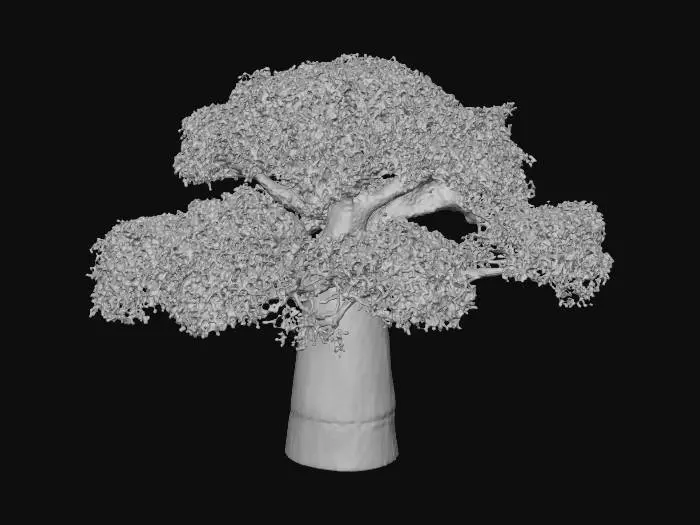 3D model for image.png