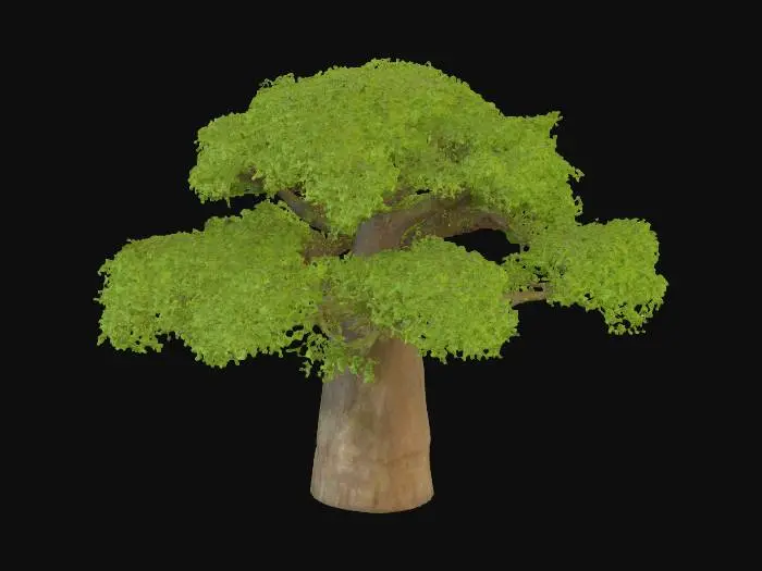 3D model for image.png