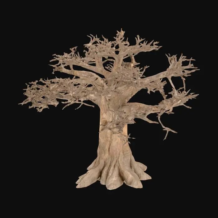 3D model for image.png