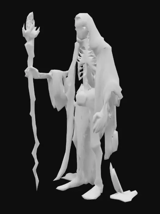 3D model for Sorcerer , DnD , Half Skeleton , ragged clothes