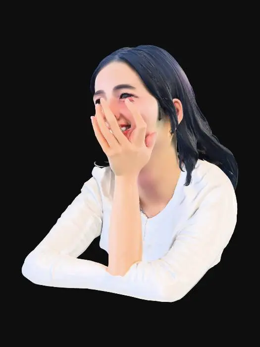 3D model for Smiling Delight