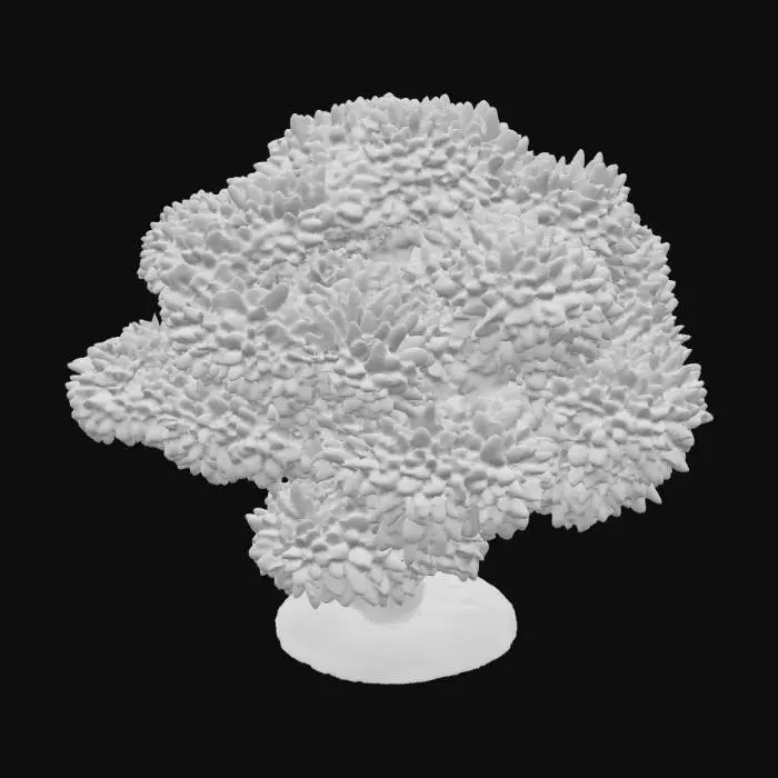 3D model for Tree of Life