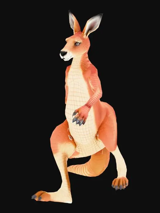 3D model for kanguru