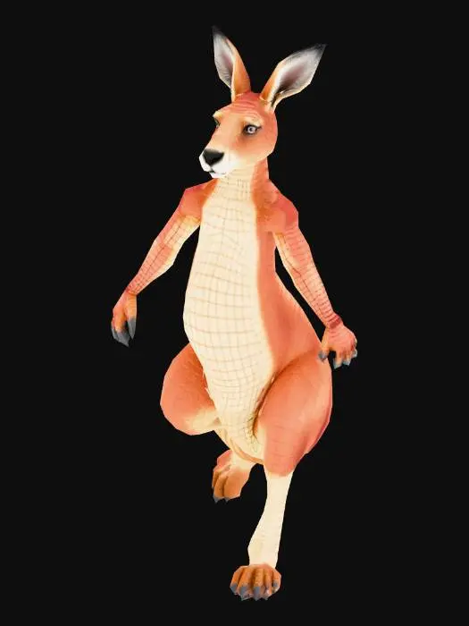 3D model for kanguru