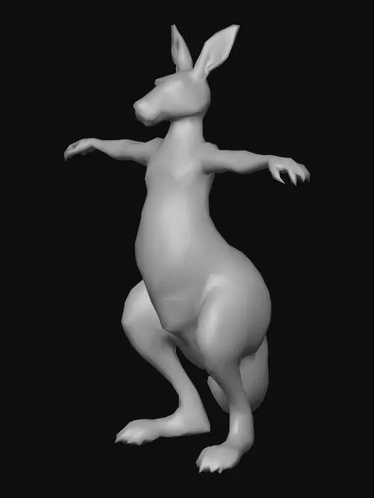 3D model for kanguru