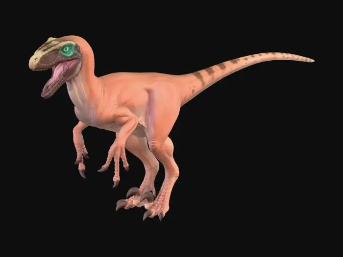 3D model for Utahraptor_base