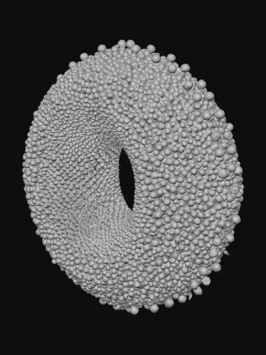 3D model for a collection of hundreds of small black dots forming a thick ring. In the middle of the ring there is one dot that is 20 times the size of one small dot that forms a ring. The distance between one small dot from one dot in the middle is 2 cm.