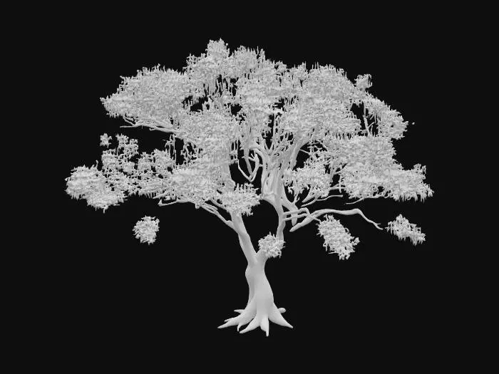 3D model for A low poly tree with very little opacity so it will be useful in virtual reality games. Instead of individual leaves make bushy branches which should reduce the amount of opacity