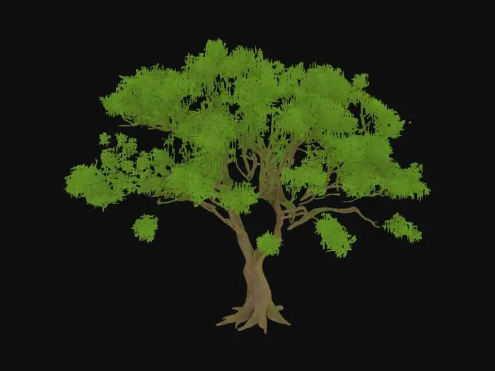 3D model for A low poly tree with very little opacity so it will be useful in virtual reality games. Instead of individual leaves make bushy branches which should reduce the amount of opacity