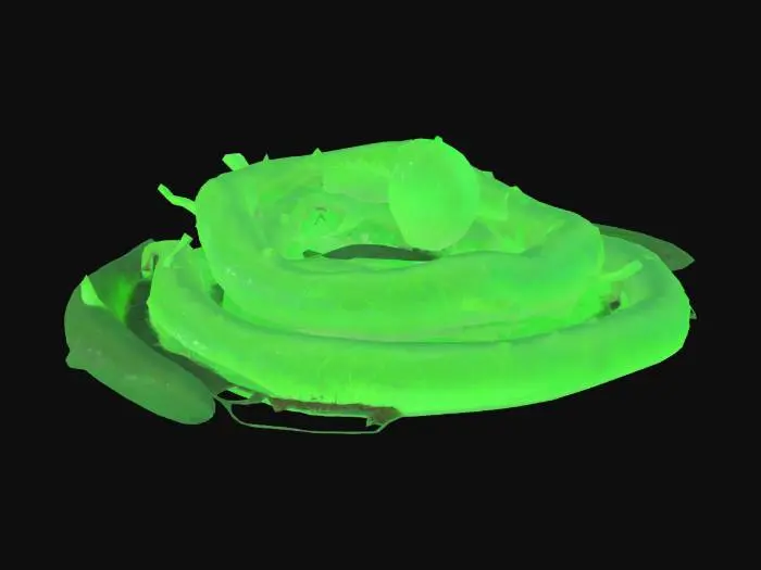 3D model for slime and ooze root which go out of ground and slithering across the ground further