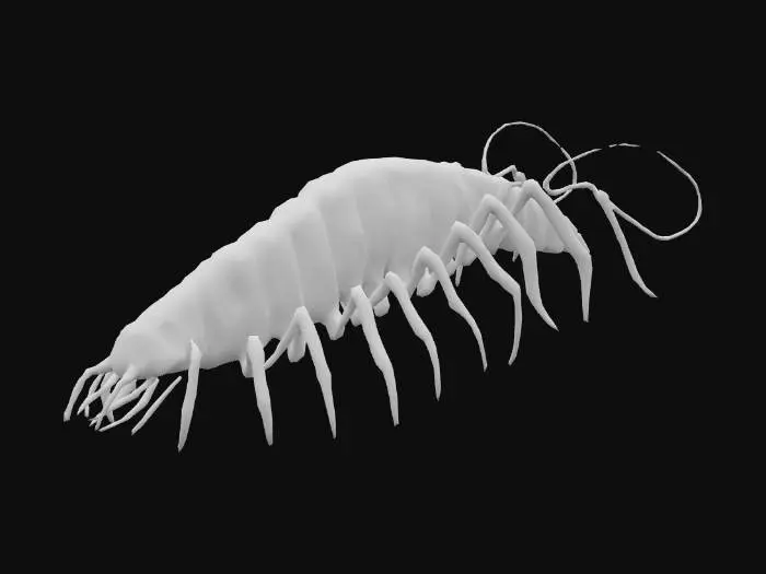 3D model for Giant monstrous centipede. Extremely elongated segmented body, stretching long and narrow like a worm. Dozens of thin insect legs running along both sides, evenly spaced. Each leg sharp, clawed, jointed, moving in waves. Glossy armored chitin covering every segment. Head small compared to body, with many eyes and sharp biting mandibles, not crab claws. Long slimy tentacles emerging from mouth and thorax, writhing and reaching. Texture rough, glossy, slimy fluids. Dark brown and black body, faint green bioluminescent glow between segments. Horror tone, unnatural predator. Realistic, cinematic detail.
