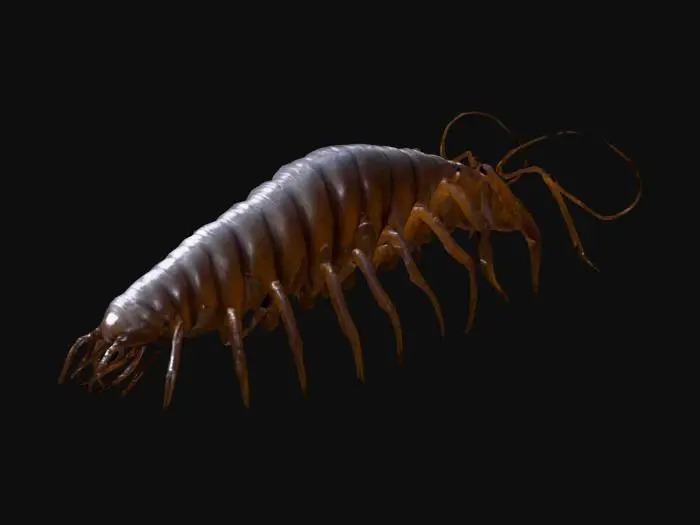3D model for Giant monstrous centipede. Extremely elongated segmented body, stretching long and narrow like a worm. Dozens of thin insect legs running along both sides, evenly spaced. Each leg sharp, clawed, jointed, moving in waves. Glossy armored chitin covering every segment. Head small compared to body, with many eyes and sharp biting mandibles, not crab claws. Long slimy tentacles emerging from mouth and thorax, writhing and reaching. Texture rough, glossy, slimy fluids. Dark brown and black body, faint green bioluminescent glow between segments. Horror tone, unnatural predator. Realistic, cinematic detail.
