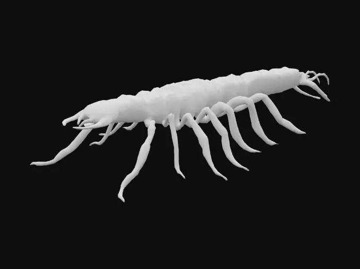 3D model for Giant monstrous centipede. Extremely elongated segmented body, stretching long and narrow like a worm. Dozens of thin insect legs running along both sides, evenly spaced. Each leg sharp, clawed, jointed, moving in waves. Glossy armored chitin covering every segment. Head small compared to body, with many eyes and sharp biting mandibles, not crab claws. Long slimy tentacles emerging from mouth and thorax, writhing and reaching. Texture rough, glossy, slimy fluids. Dark brown and black body, faint green bioluminescent glow between segments. Horror tone, unnatural predator. Realistic, cinematic detail.
