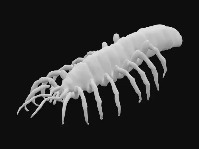 3D model for Giant monstrous centipede. Extremely elongated segmented body, stretching long and narrow like a worm. Dozens of thin insect legs running along both sides, evenly spaced. Each leg sharp, clawed, jointed, moving in waves. Glossy armored chitin covering every segment. Head small compared to body, with many eyes and sharp biting mandibles, not crab claws. Long slimy tentacles emerging from mouth and thorax, writhing and reaching. Texture rough, glossy, slimy fluids. Dark brown and black body, faint green bioluminescent glow between segments. Horror tone, unnatural predator. Realistic, cinematic detail.
