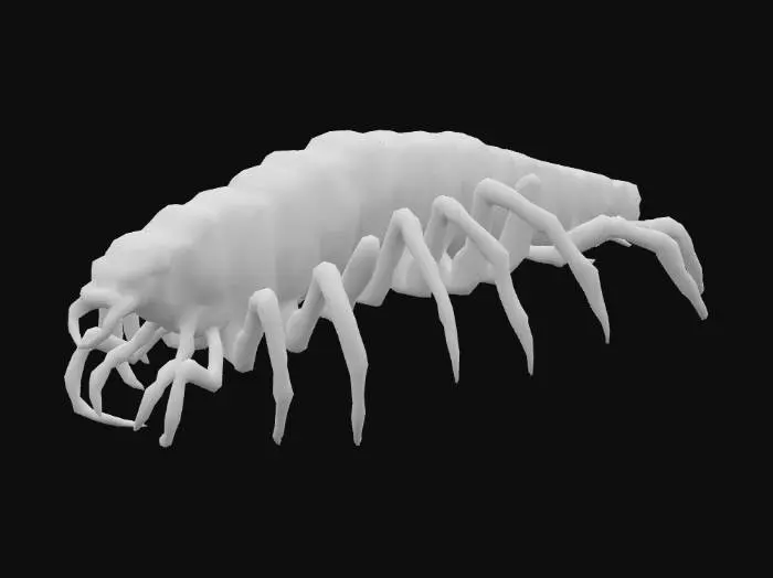 3D model for Giant monstrous centipede. Extremely elongated segmented body, stretching long and narrow like a worm. Dozens of thin insect legs running along both sides, evenly spaced. Each leg sharp, clawed, jointed, moving in waves. Glossy armored chitin covering every segment. Head small compared to body, with many eyes and sharp biting mandibles, not crab claws. Long slimy tentacles emerging from mouth and thorax, writhing and reaching. Texture rough, glossy, slimy fluids. Dark brown and black body, faint green bioluminescent glow between segments. Horror tone, unnatural predator. Realistic, cinematic detail.
