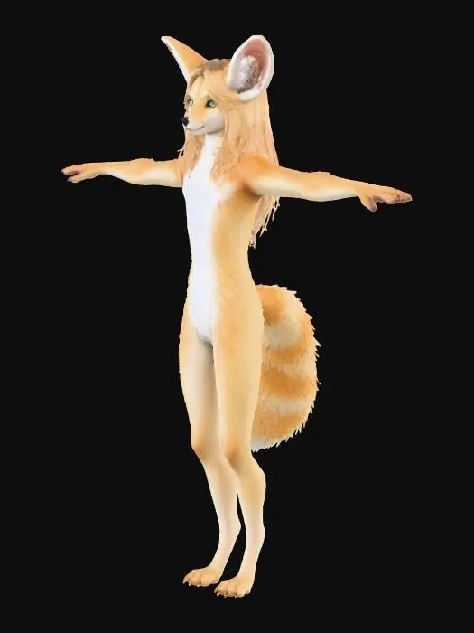 3D model for Fennec Anthro