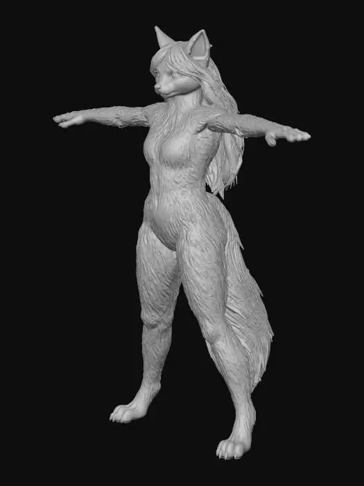 3D model for Fox Transformation