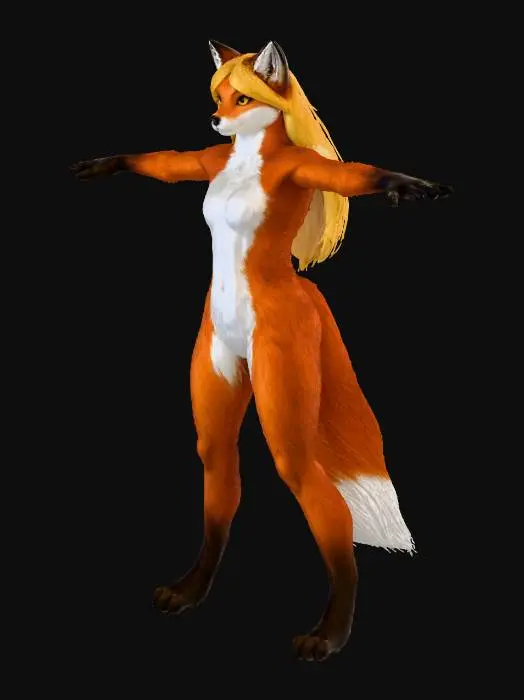 3D model for Fox Transformation