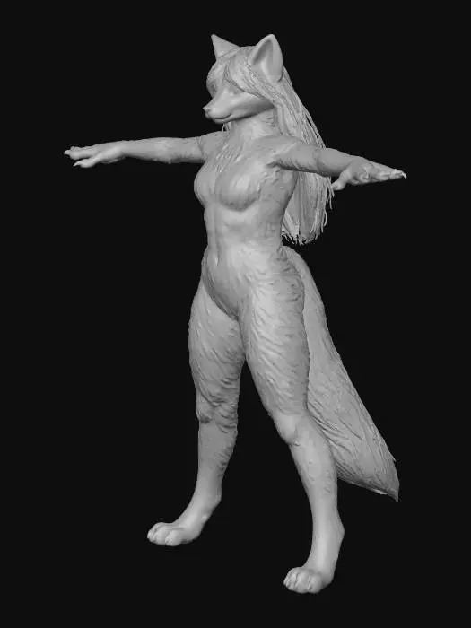 3D model for Fox Transformation
