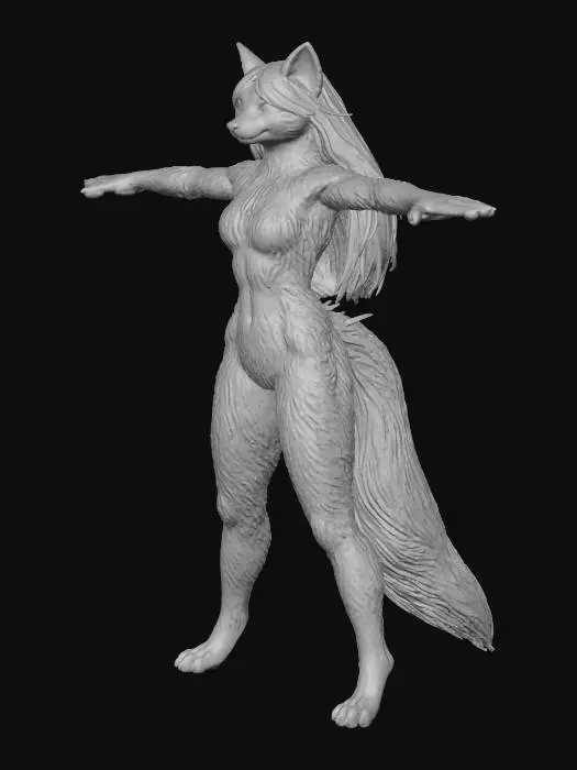 3D model for Fox Transformation