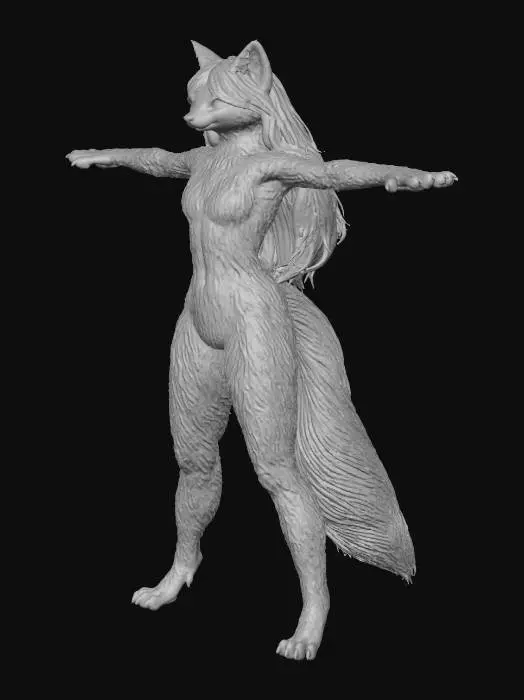 3D model for Fox Transformation