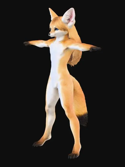 3D model for Fennec Pose